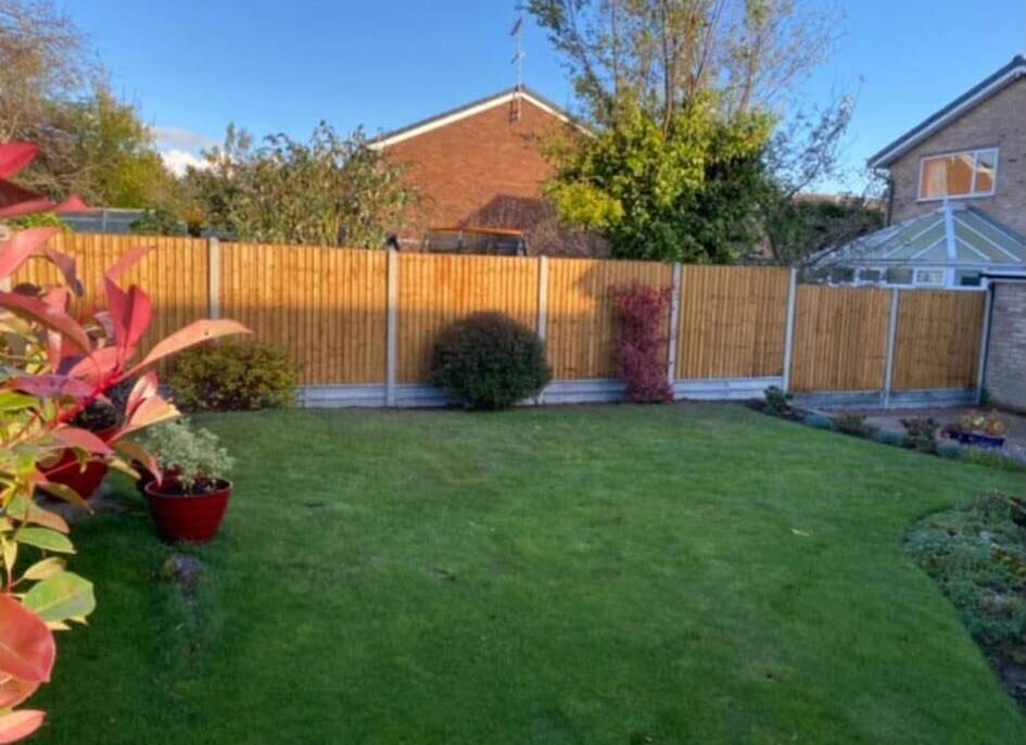 Replacement timber fencing around a residential garden