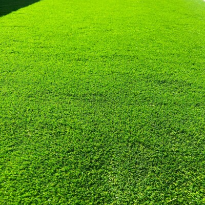 Newly laid turf
