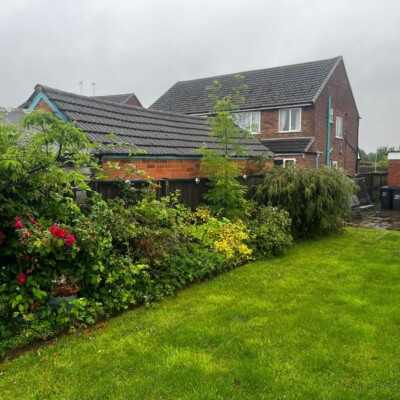 Residential garden with fresh turf and landscaped borders